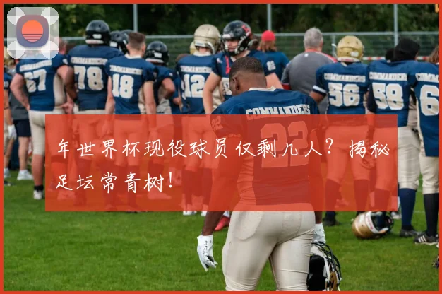 年世界杯现役球员仅剩几人？揭秘足坛常青树！